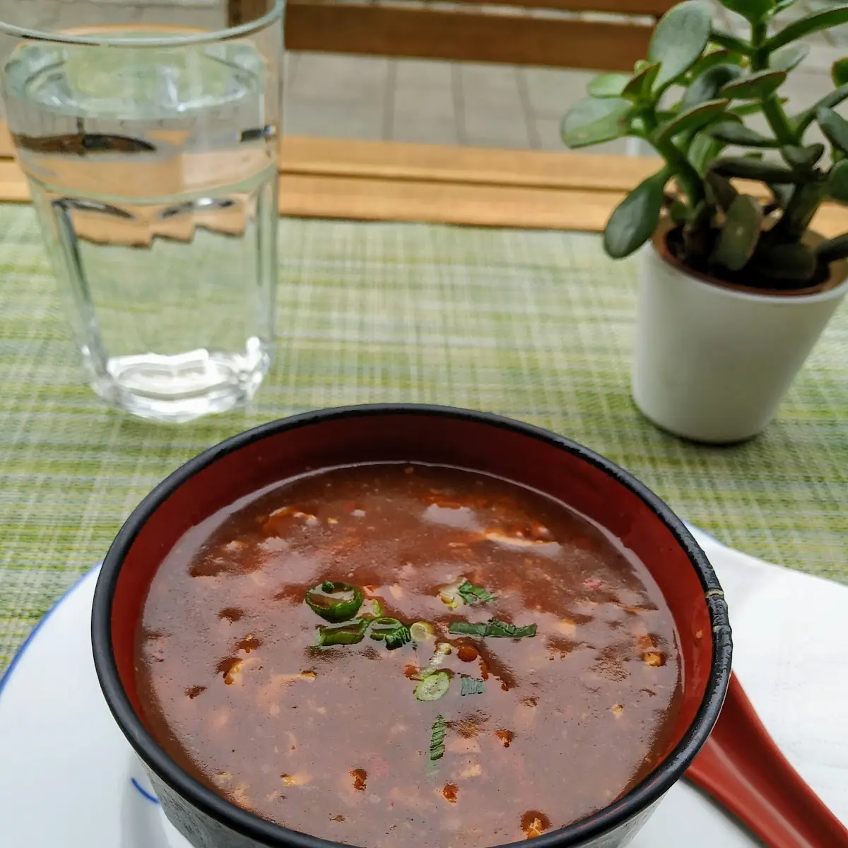 V8 Pikant - Säuerliche Suppe Vegetarisch