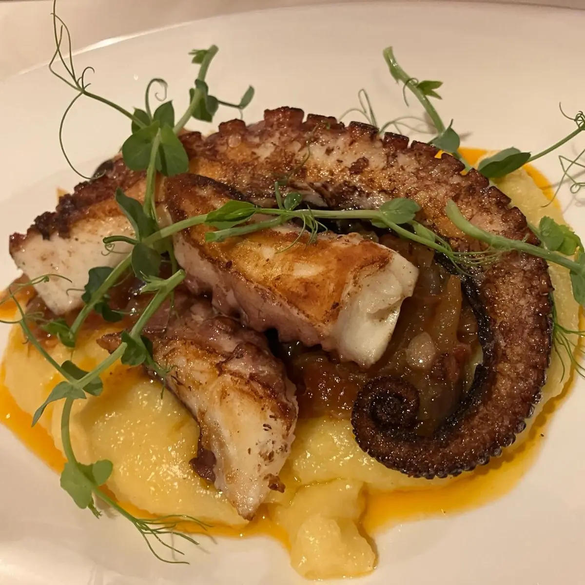 Oktopus Auf Cremiger Polenta