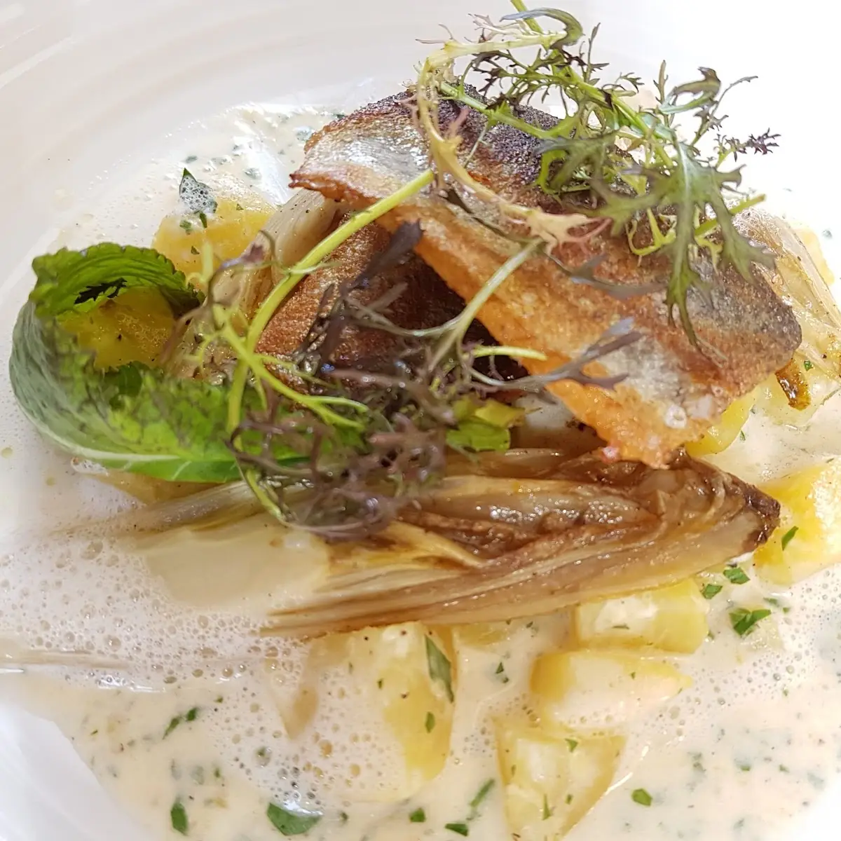 Forelle Mit Rahmerdäpfel