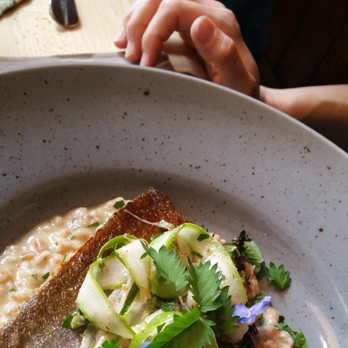 Saiblingsfilet Gebraten Mit Zucchinibandnudeln Auf Rieslingrisotto