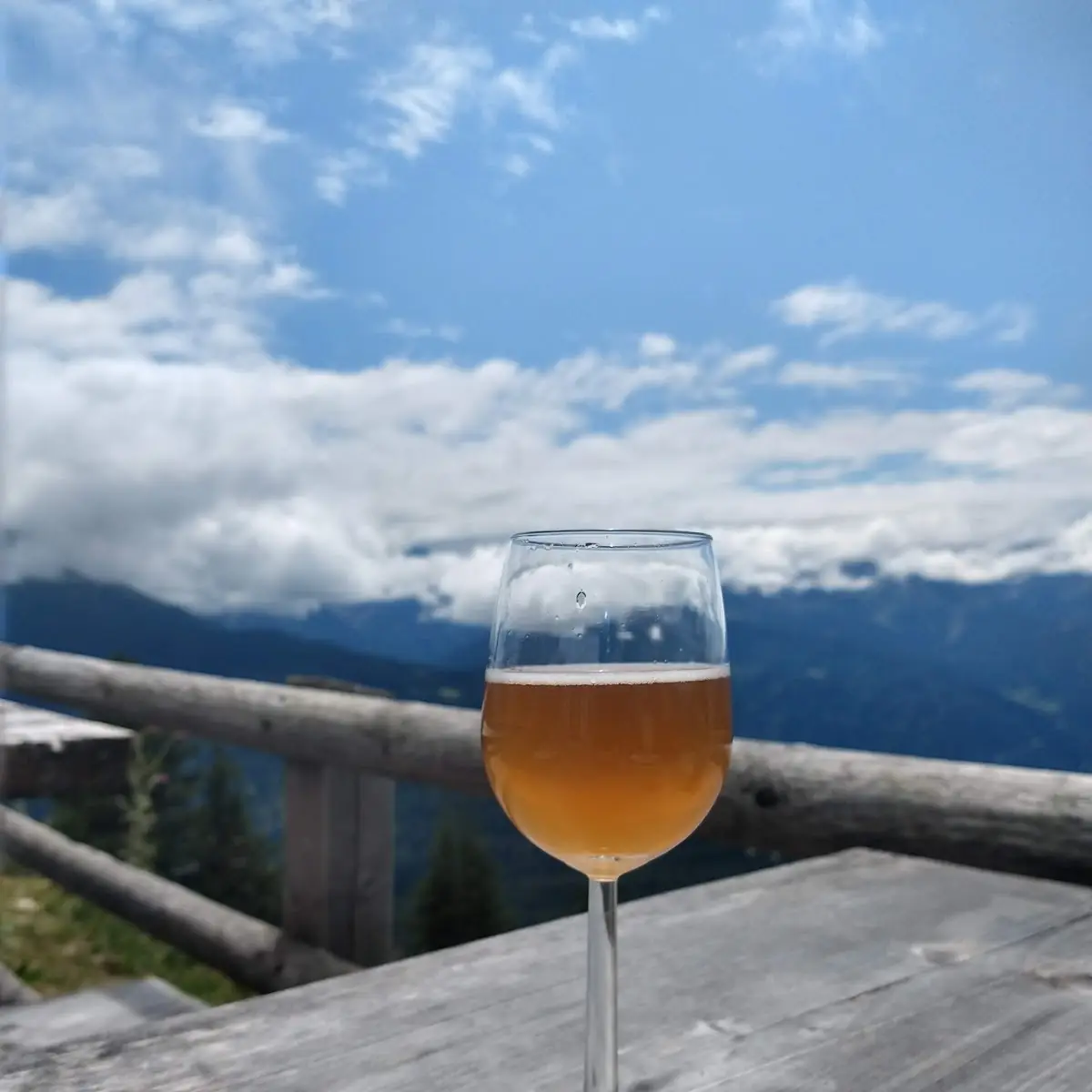 Kombucha