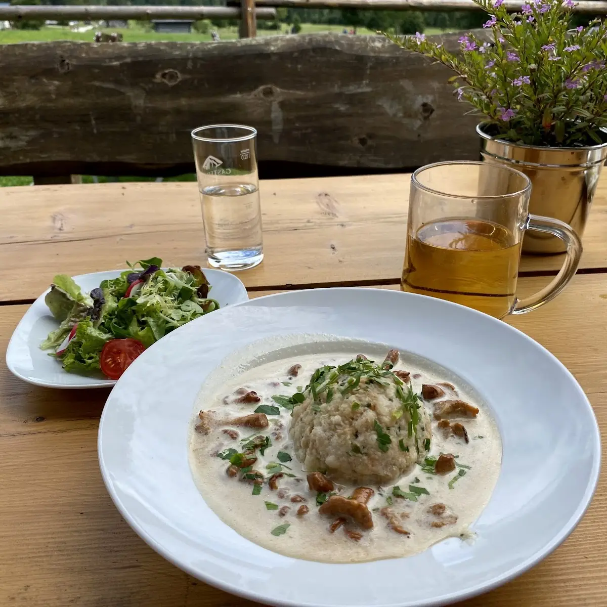 Eierschwammerl Mit Semmelknödel