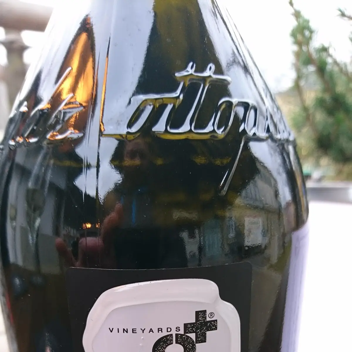 Prosecco