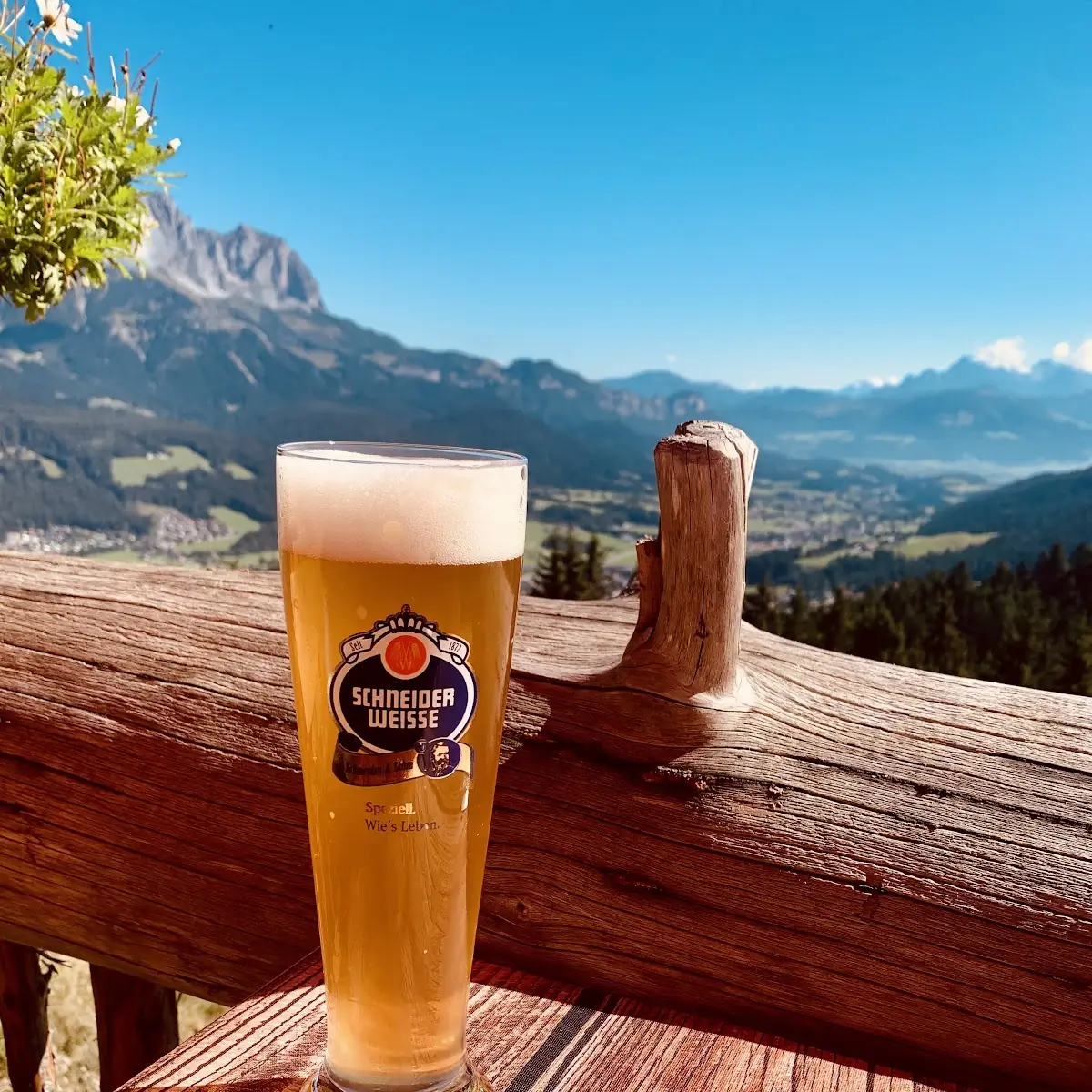 Schneider Weisse Älteste Weissbierbrauerei Bayerns