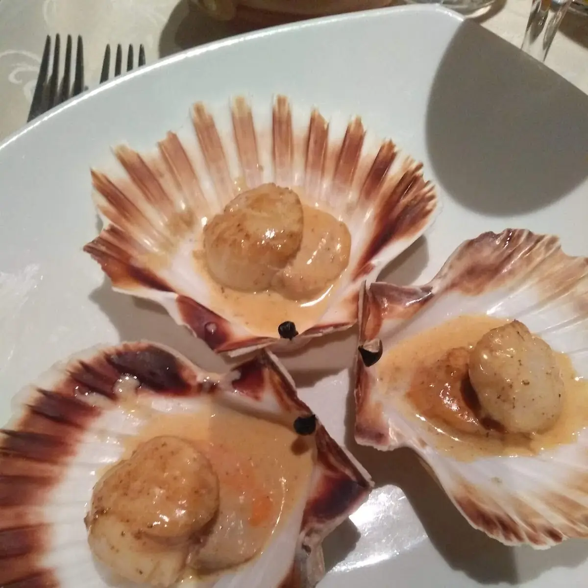 Jakobsmuscheln Mit Trüffel