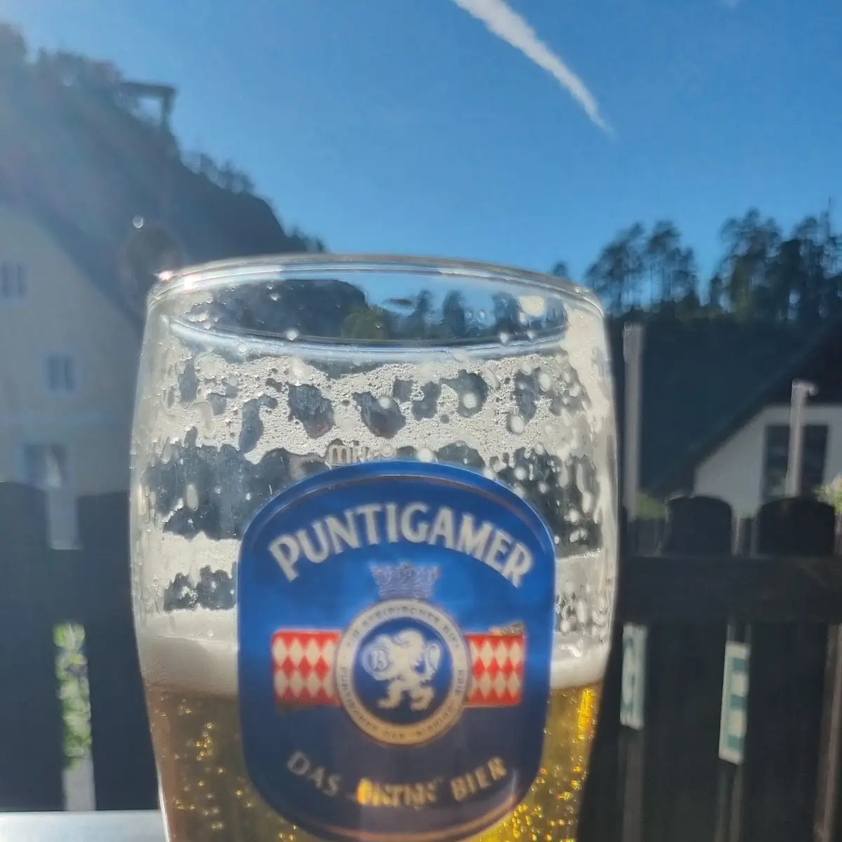 Bier