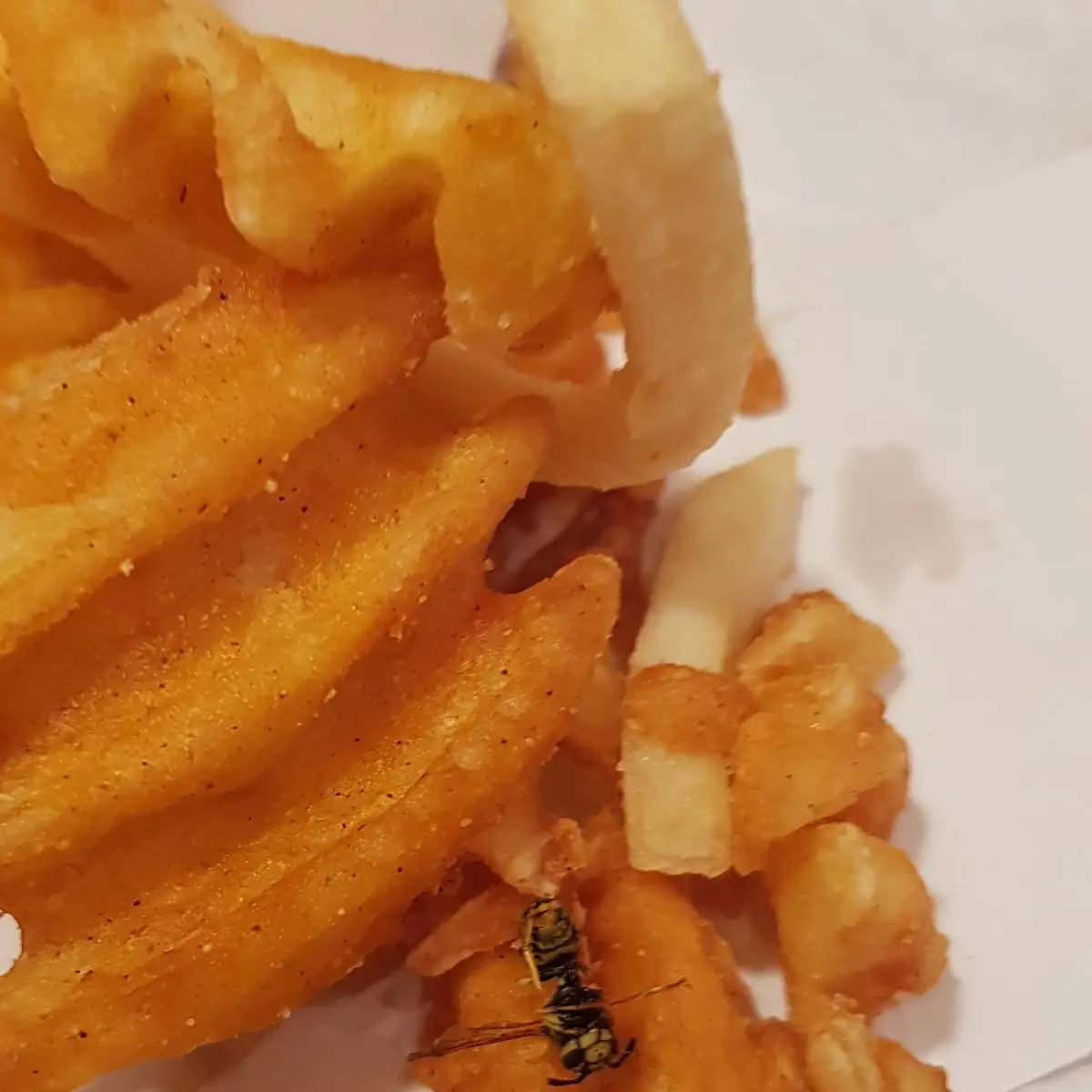 Riffel Pommes