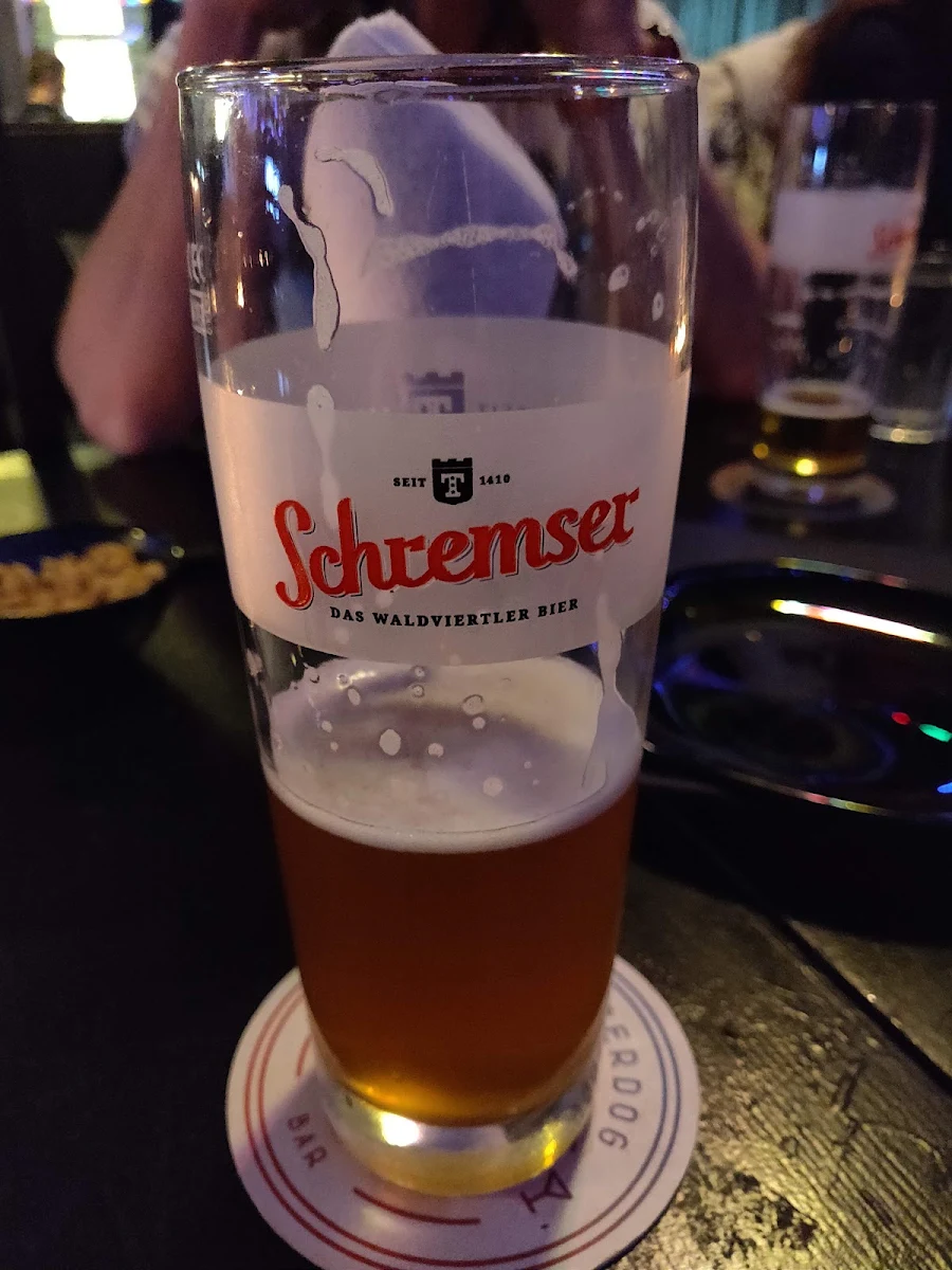 Bier