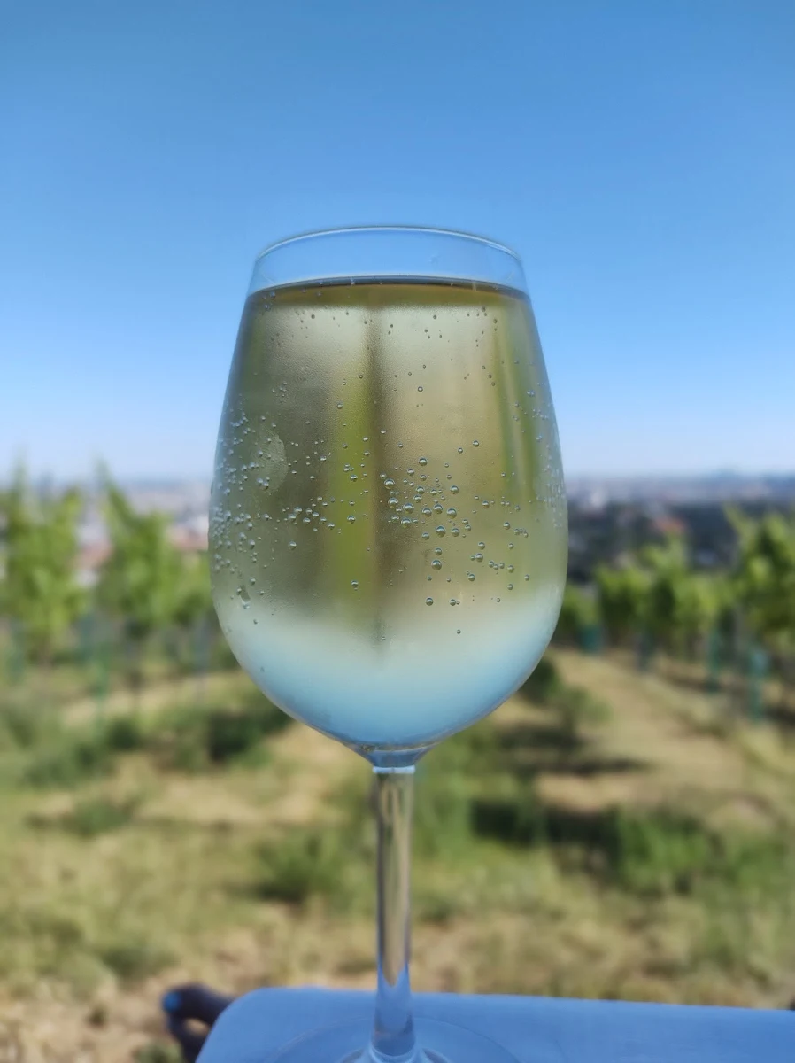 Blanc De Noir