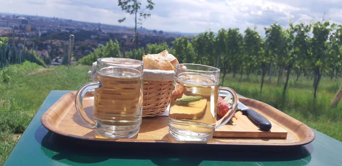 Highlight 16
