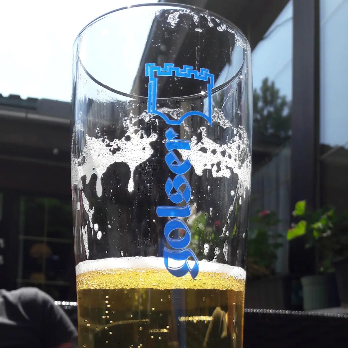 Bier