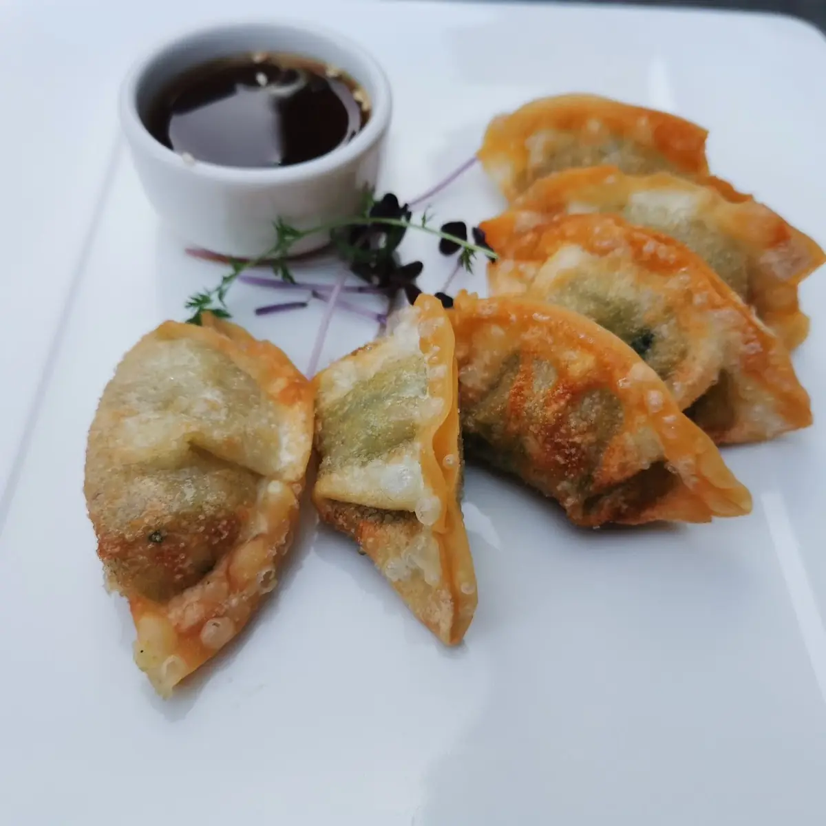Thunfisch Maki Und Mandu