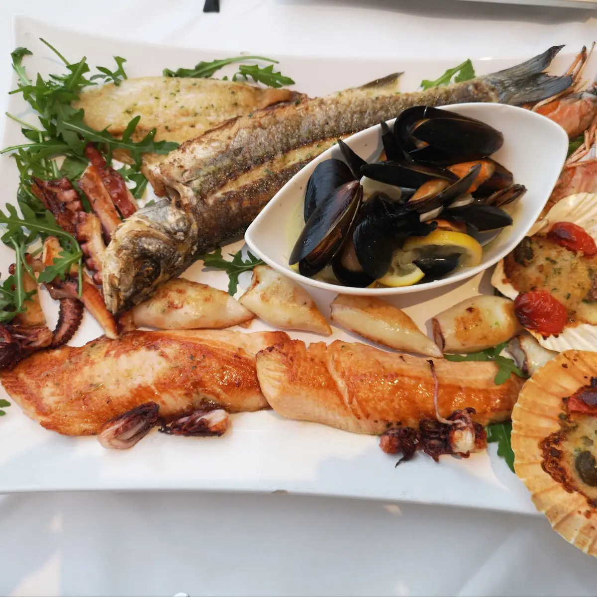 Gamberoni E Calamari Alla Griglia, Piccola Italia