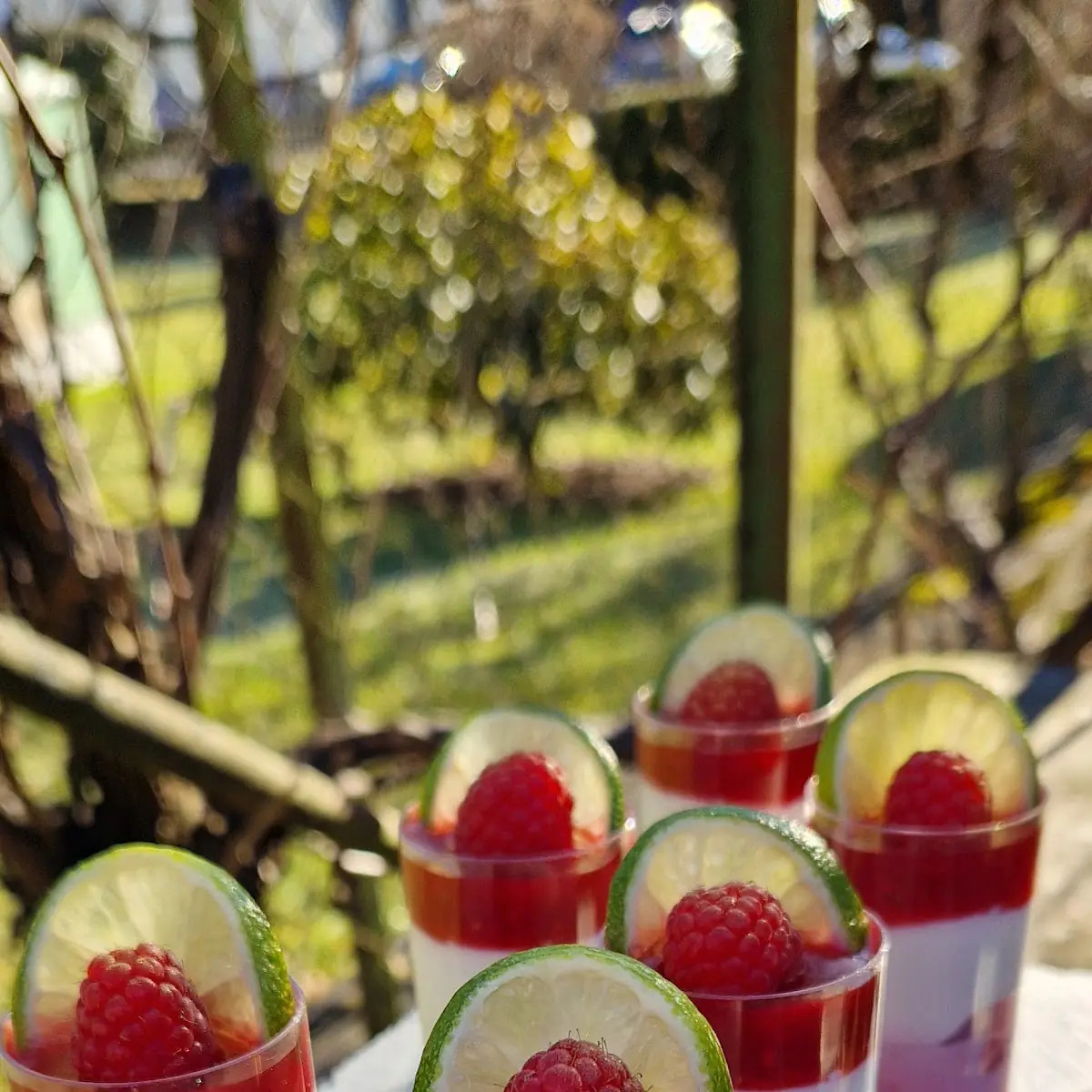 Limette-himbeer Im Glas