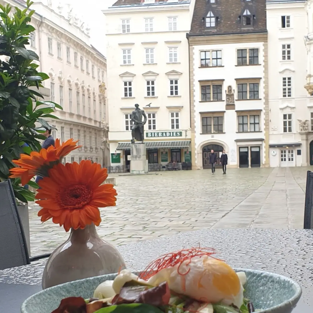 Spargelsalat Mit Poschierten Ei