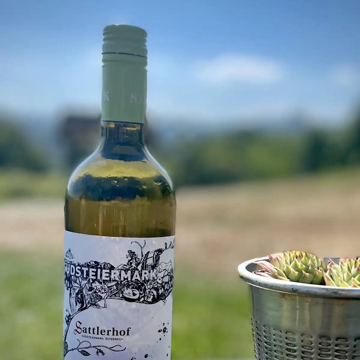 Highlight 8