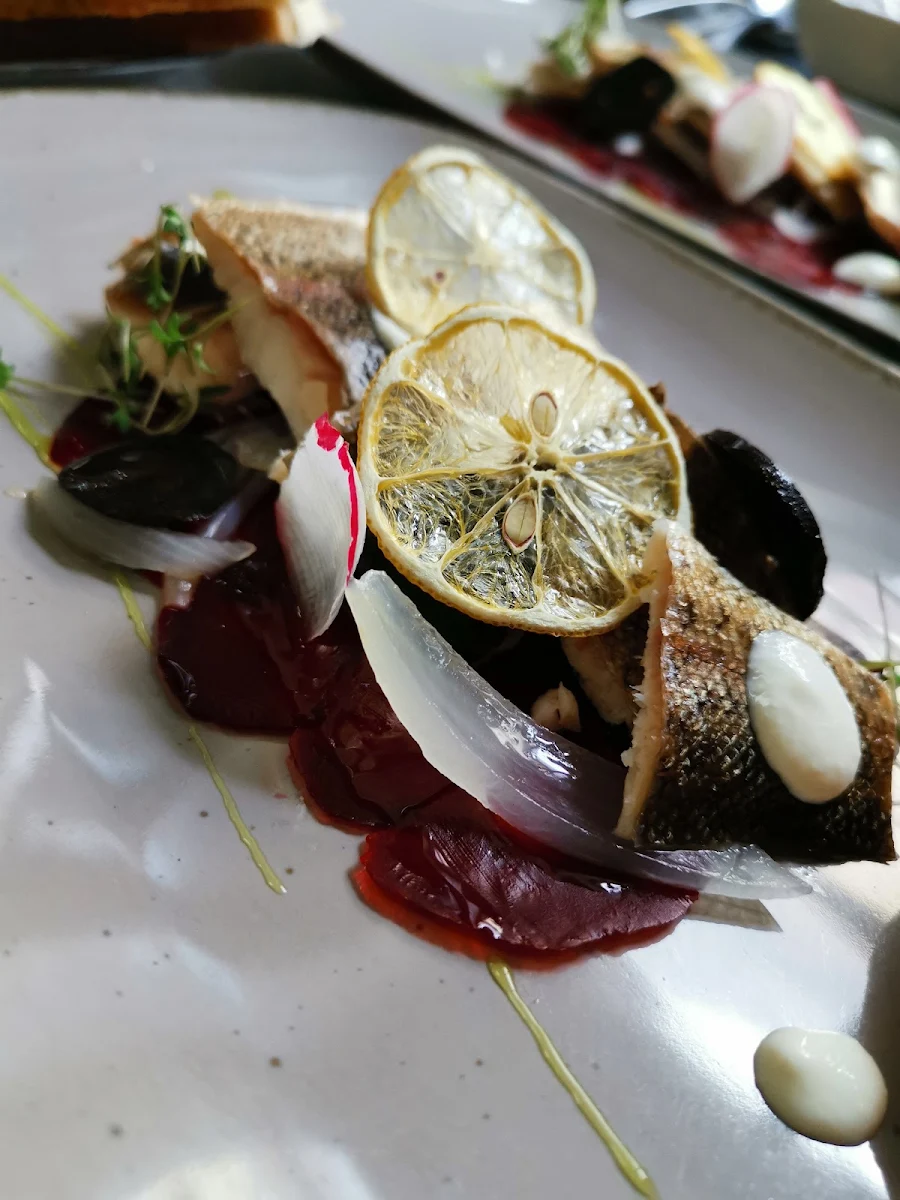 Geräucherte Forelle Auf Rote Rüben Carpaccio Mit Limette Und Kren