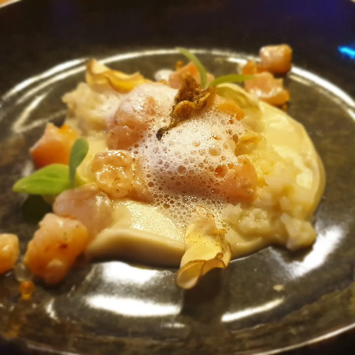 Salmon Trout
