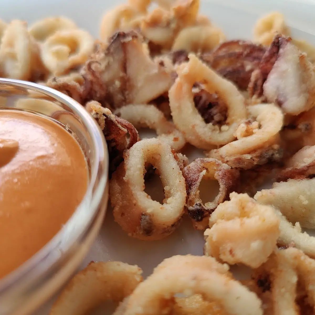 Calamari Fritti