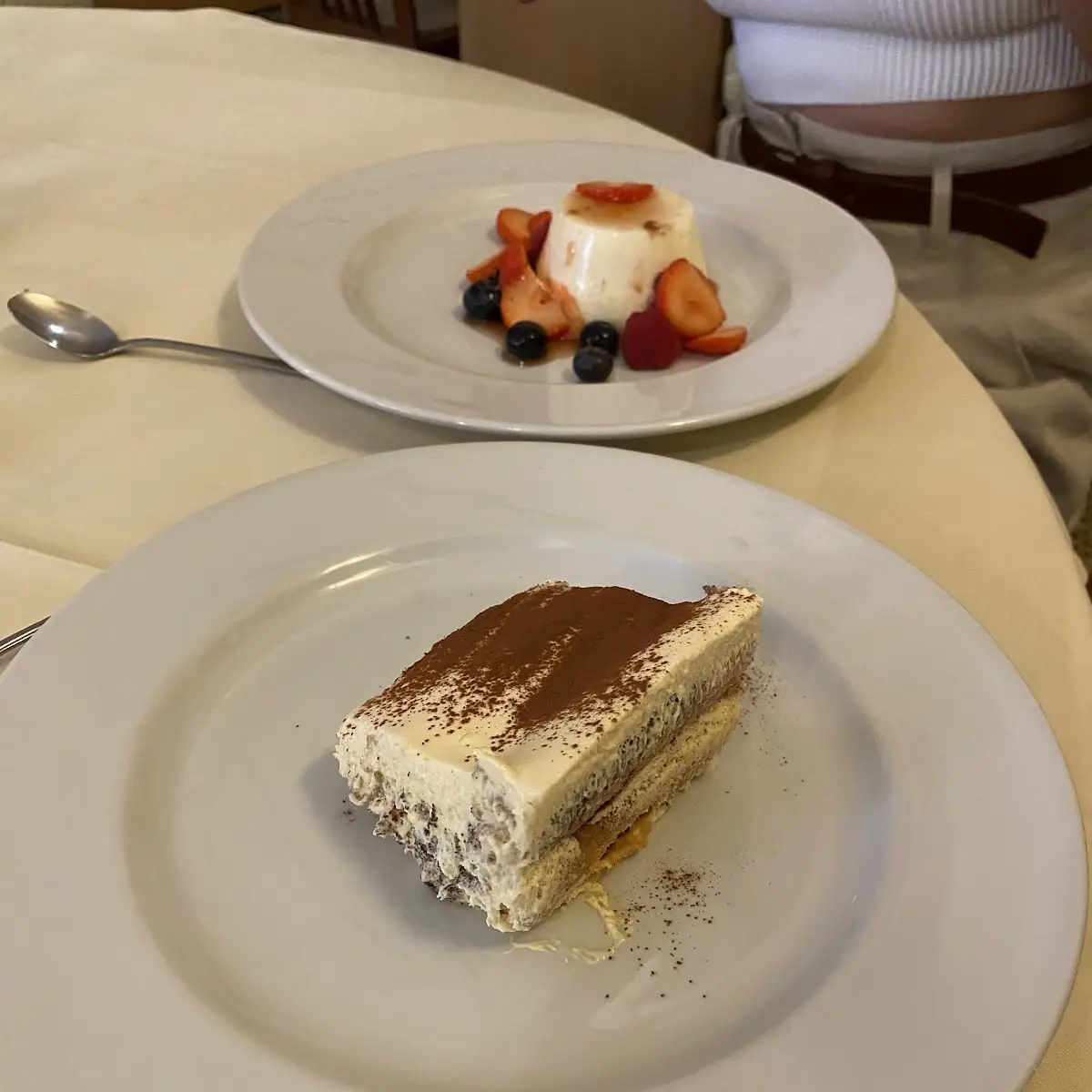 Tiramisu And Panna Cotta