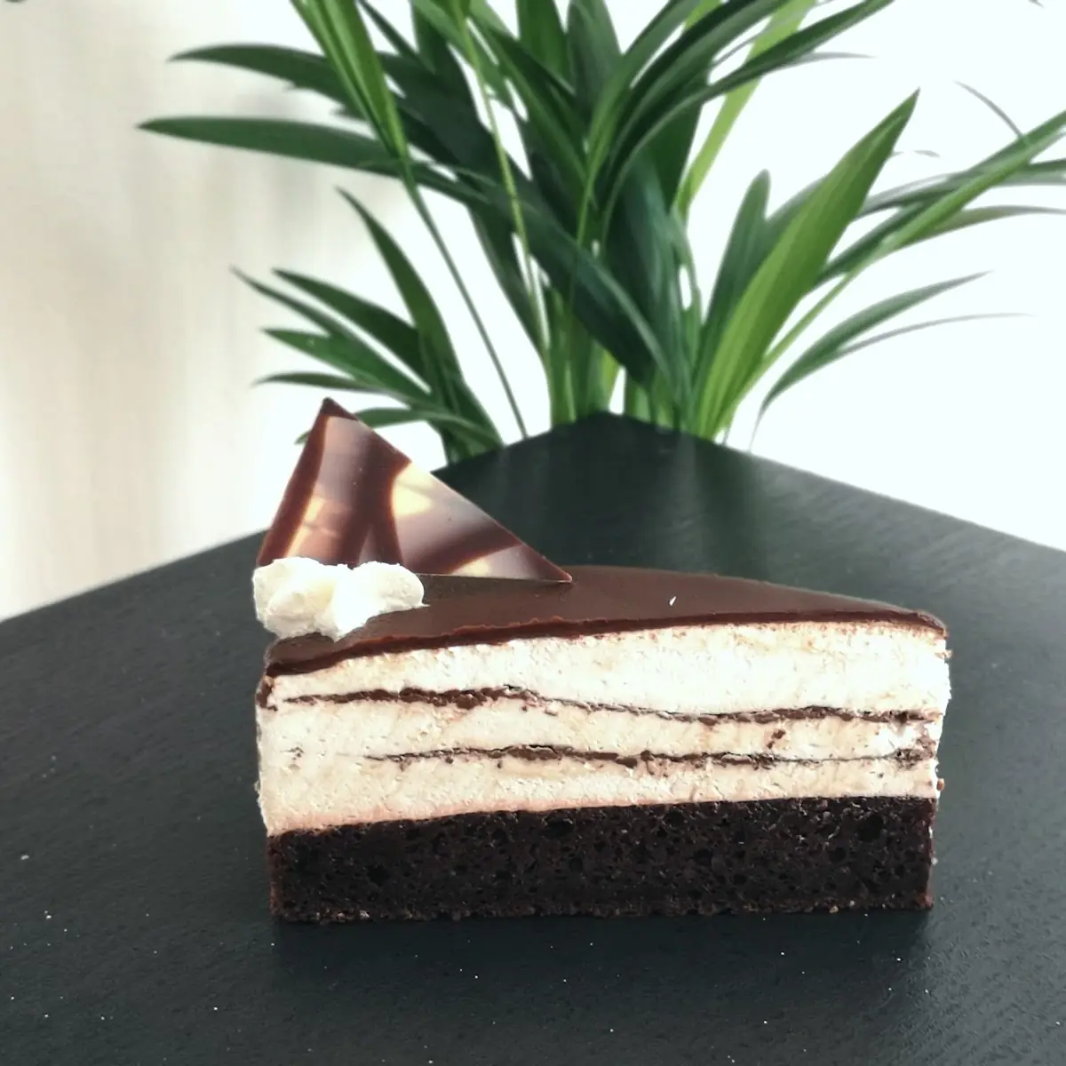 Nana Diet Schoko Mousse Duett Torte Komplett