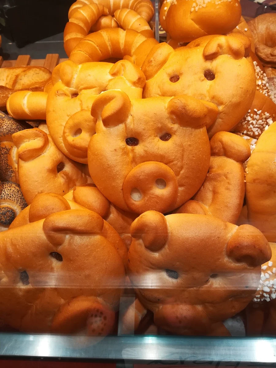Schweinsköpfe