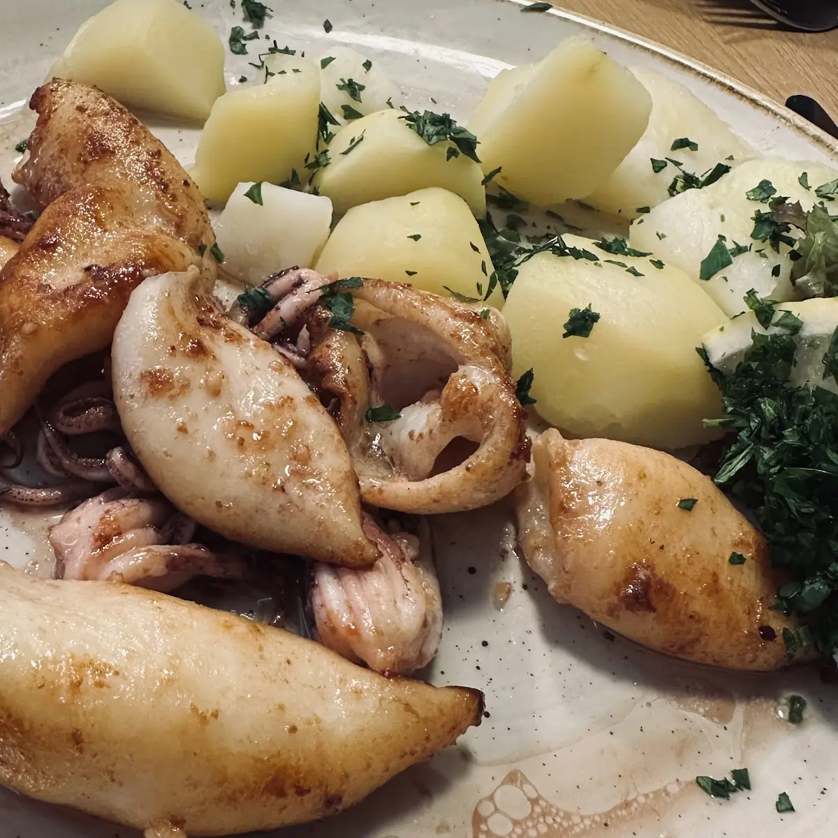 Calamari