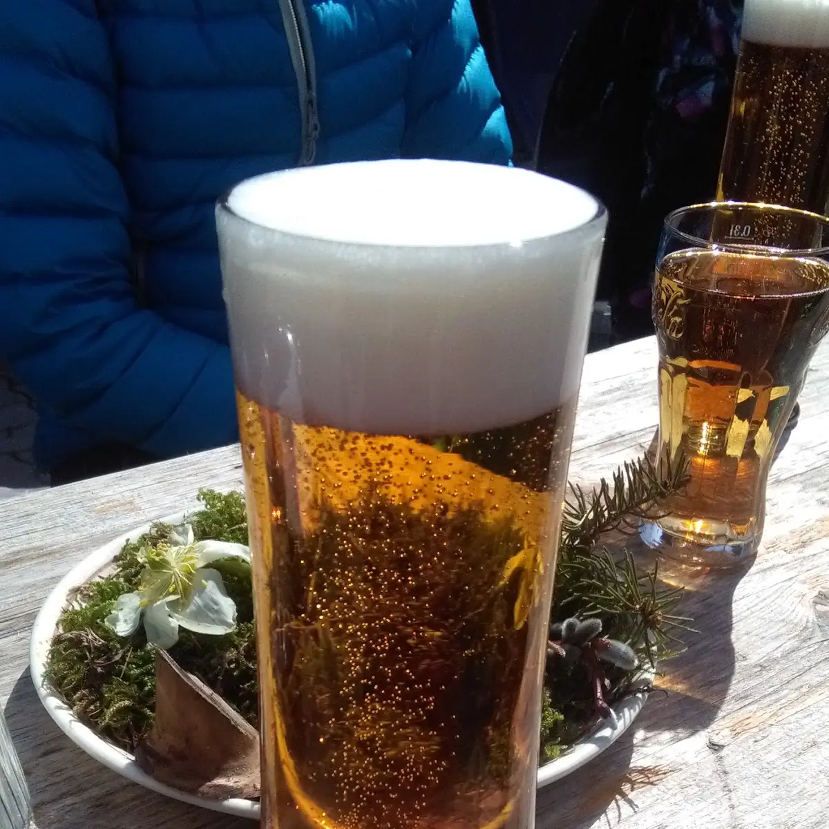 Pivo