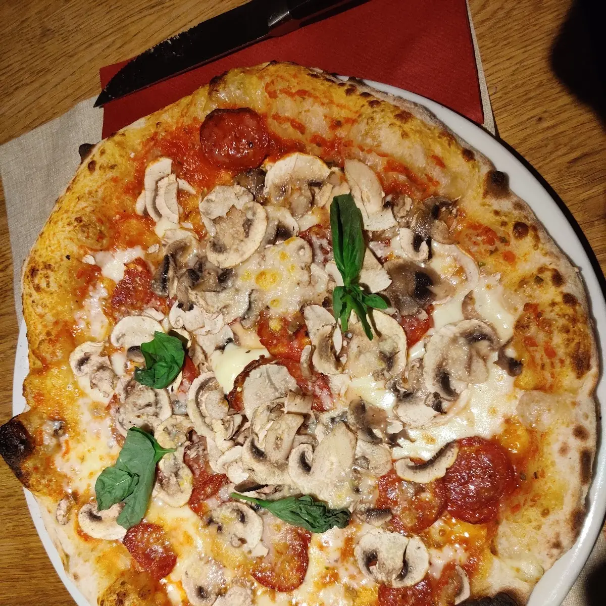 Pizza Speciale