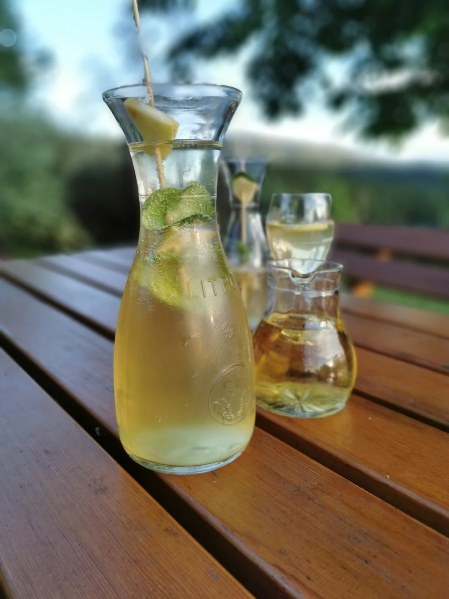 Bauernhugo 1l