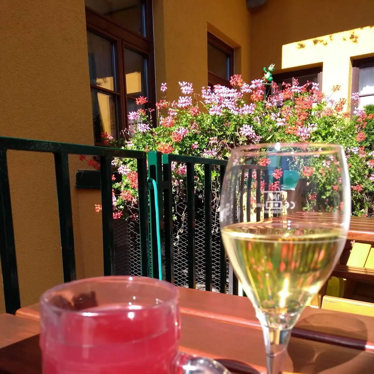 Roter Sturm Grüner Veltliner