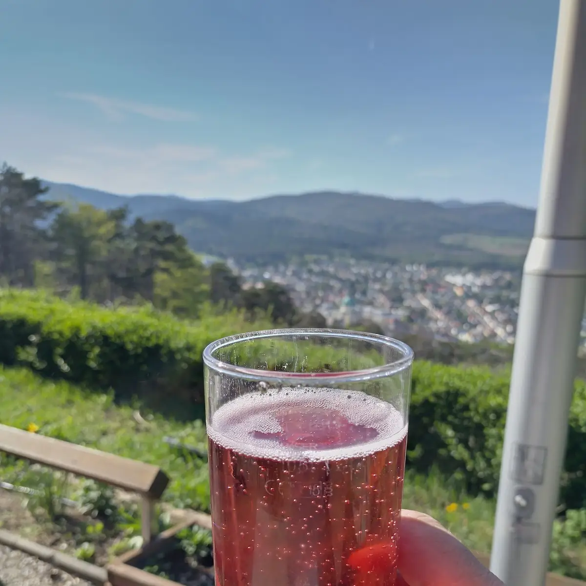 Himbeer Soda