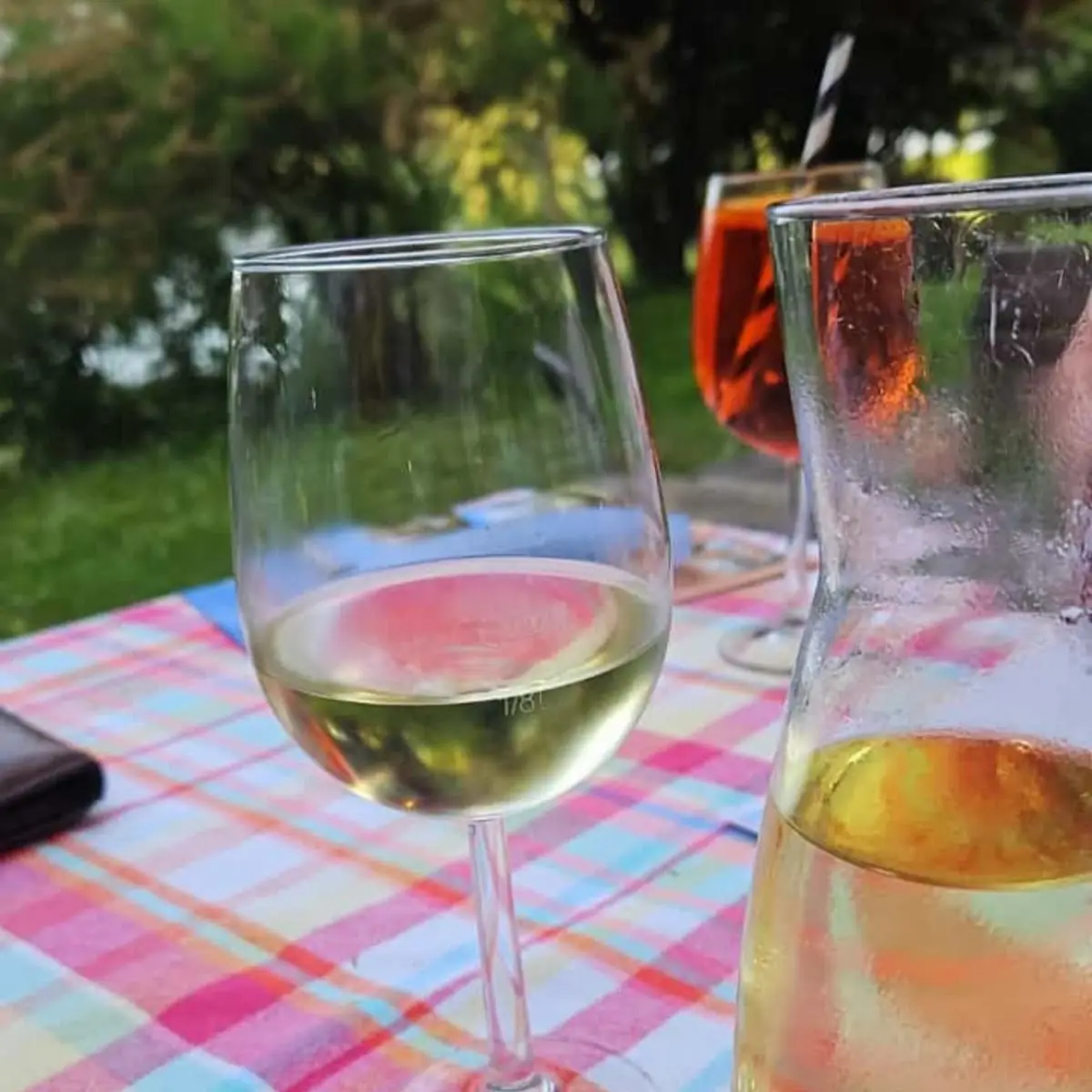 Grüner Veltliner