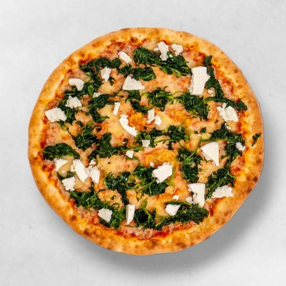 Highlight 8