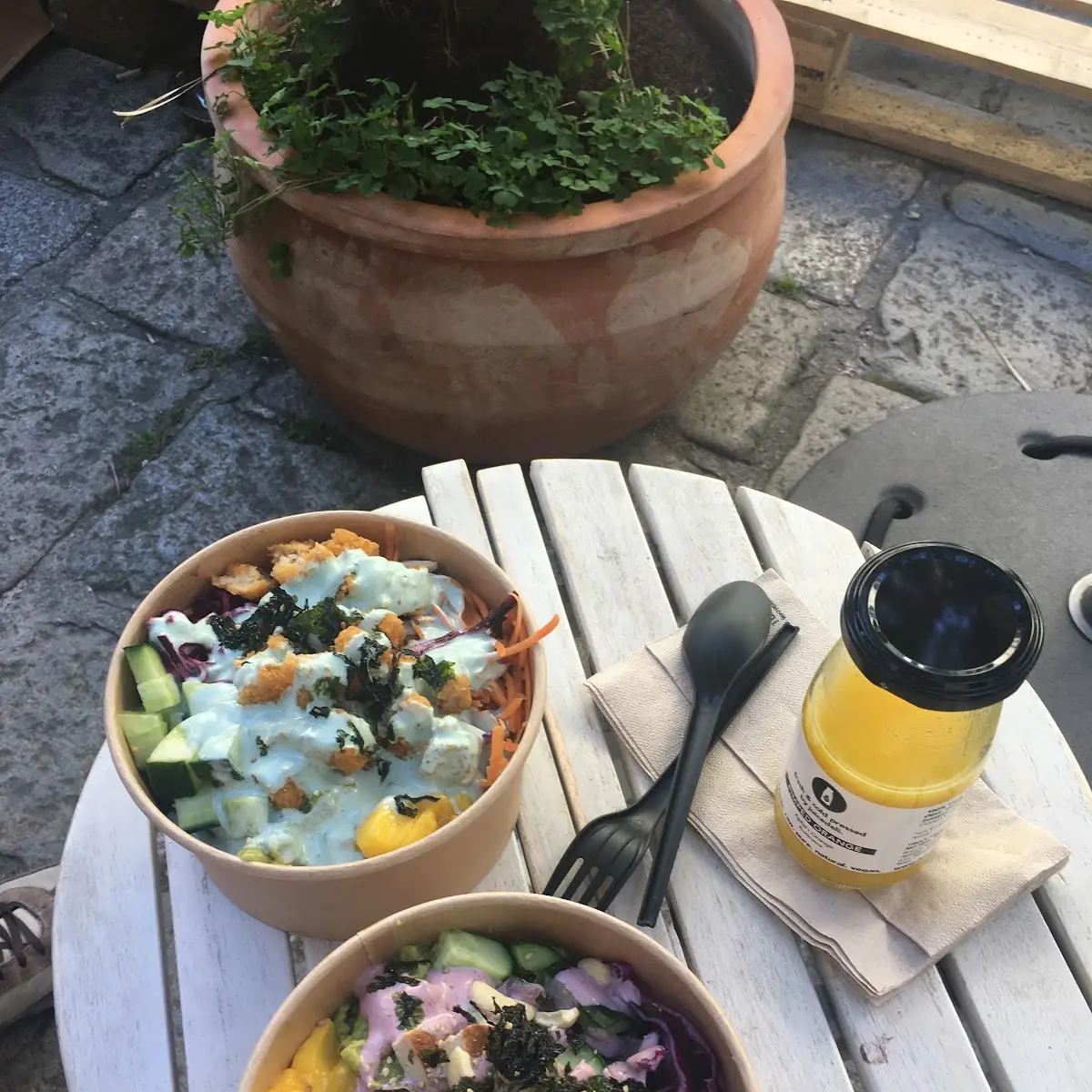 Hot Tulum Bowl Bio