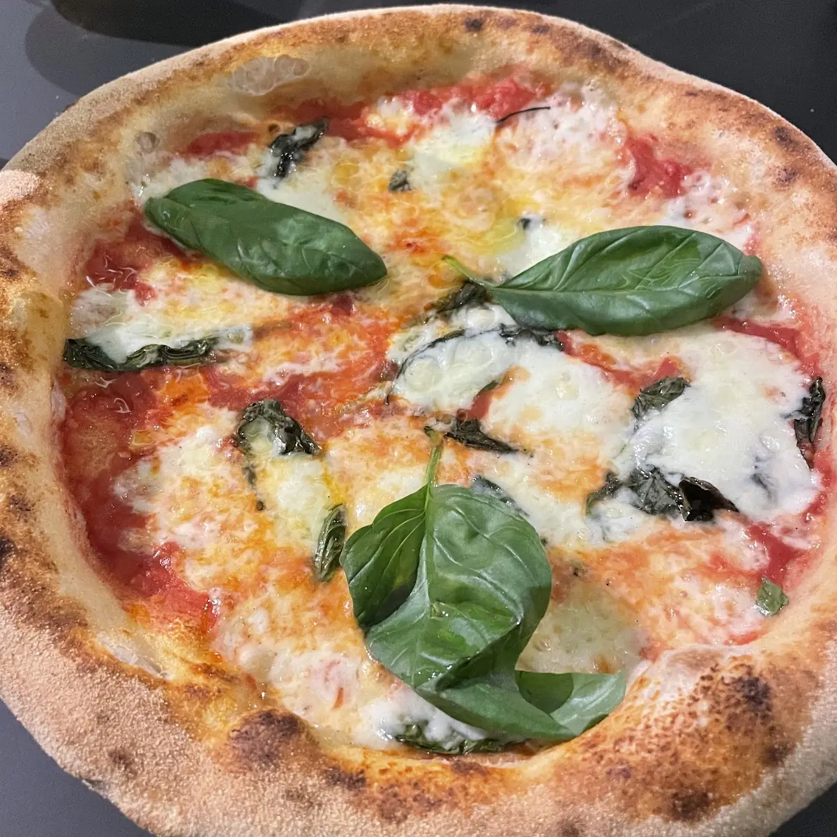 Pizza Margherita