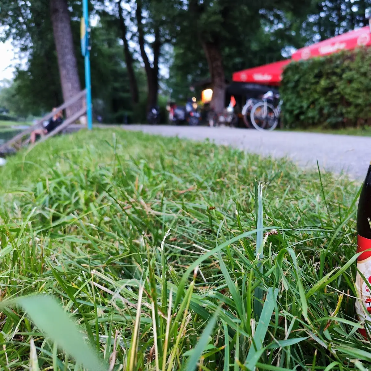 Bier