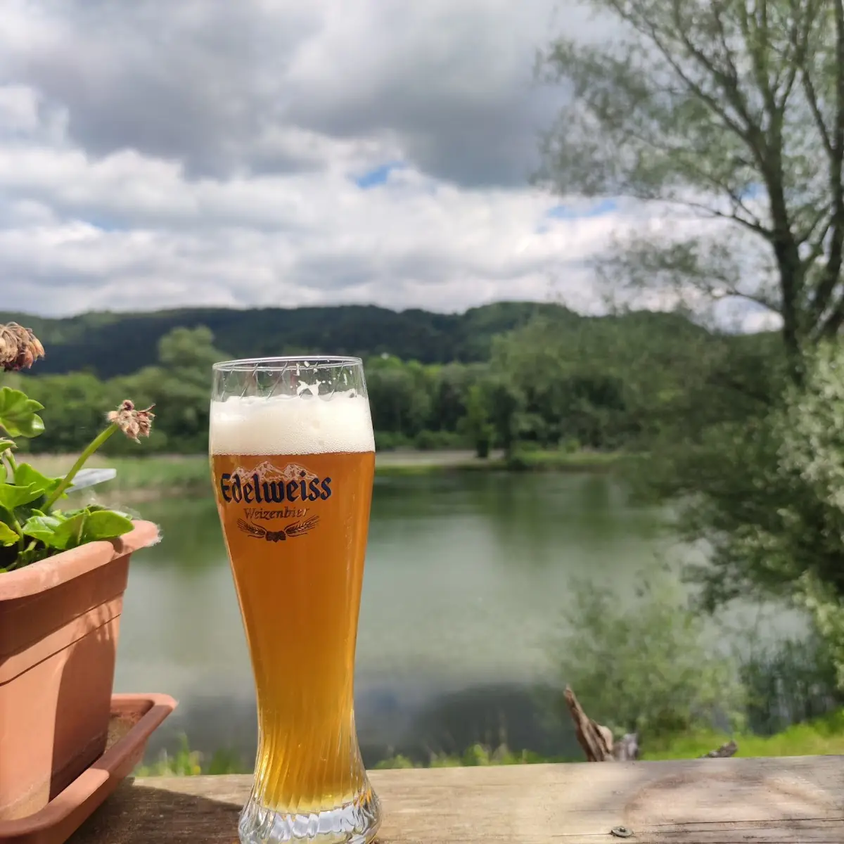 Hefeweizen
