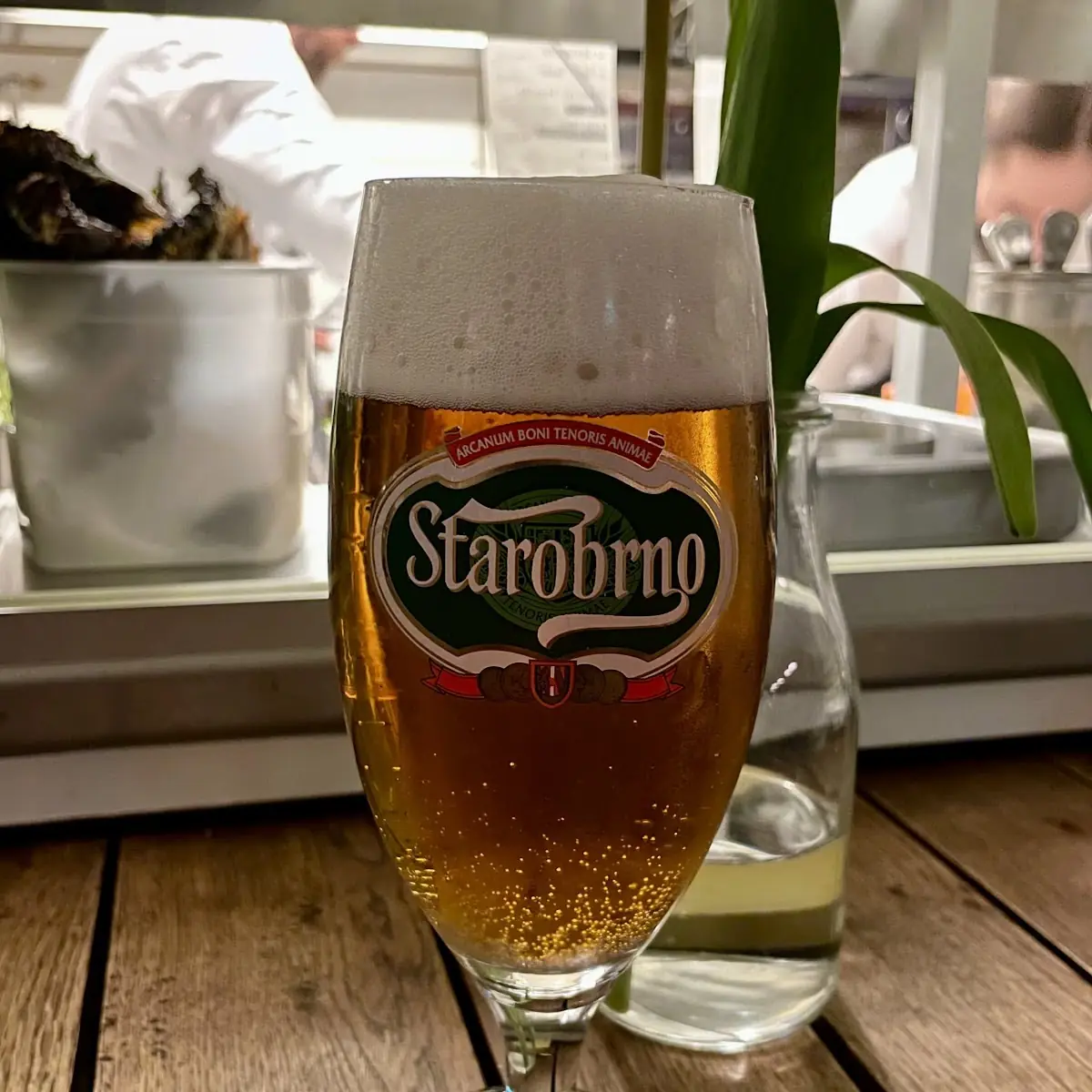 Starobrno Bier
