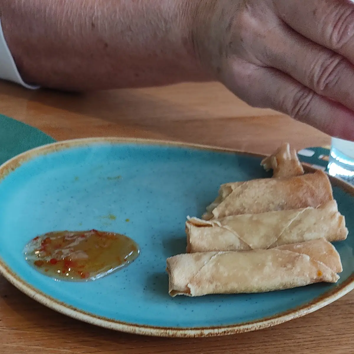 Mini Frühlingsrollen