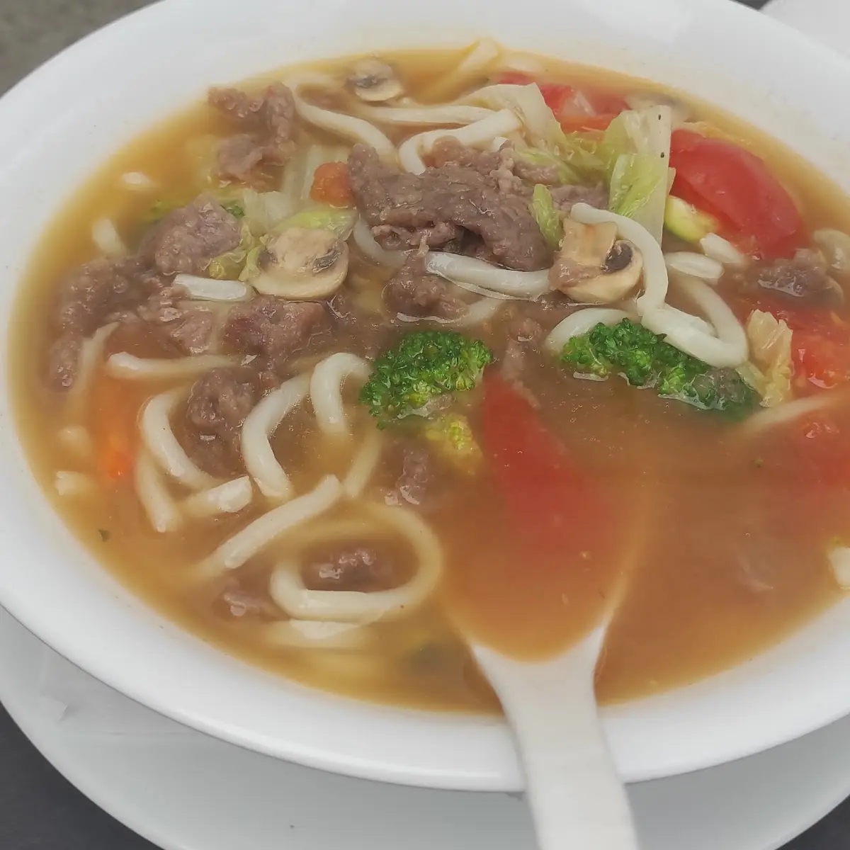 Udon-Noodle Soup and Beef