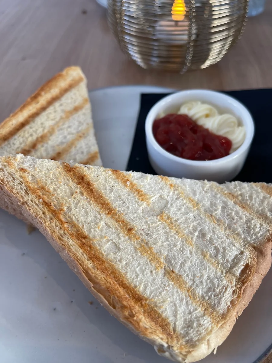 Humus Panini