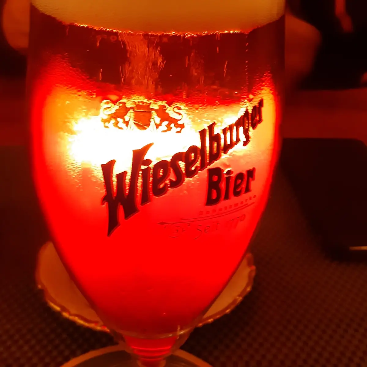 Bier