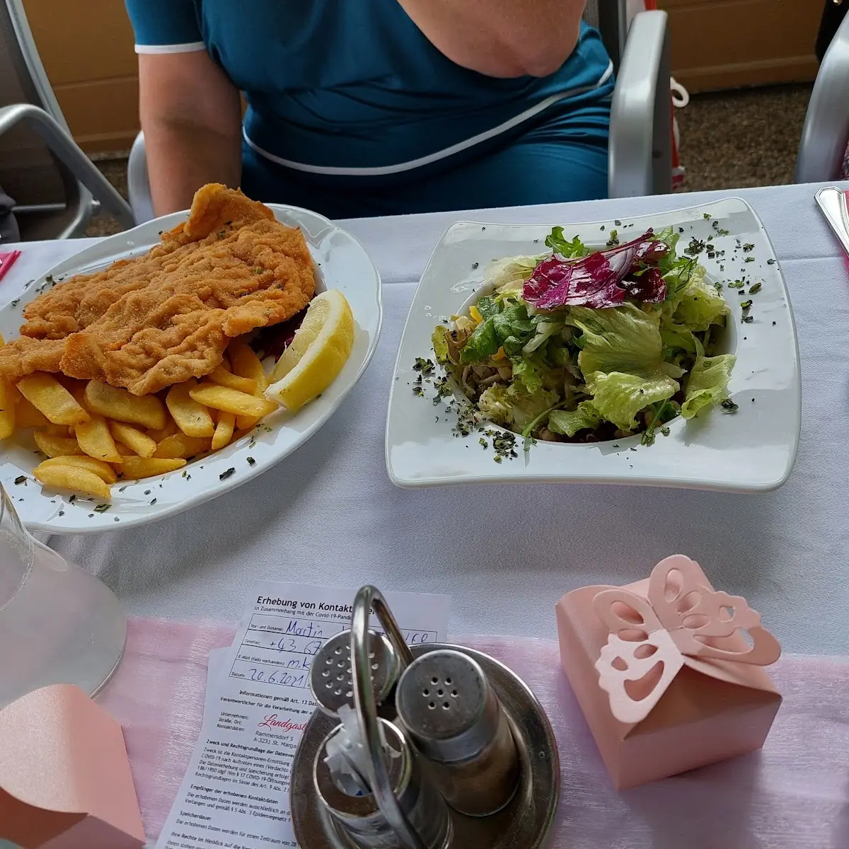 Schnitzel Paniert