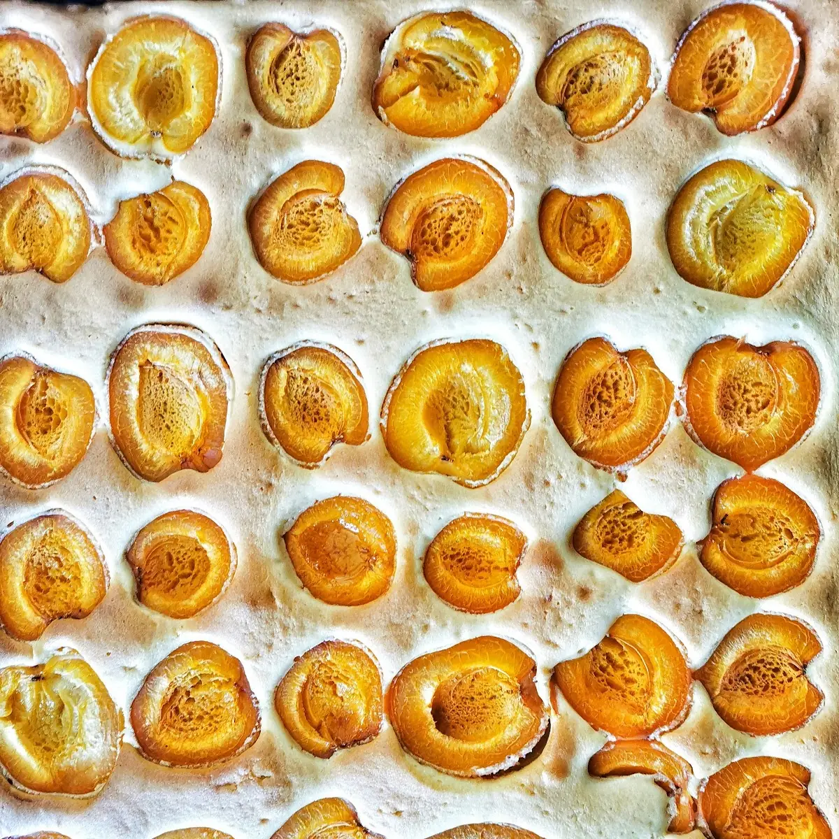 Highlight 3
