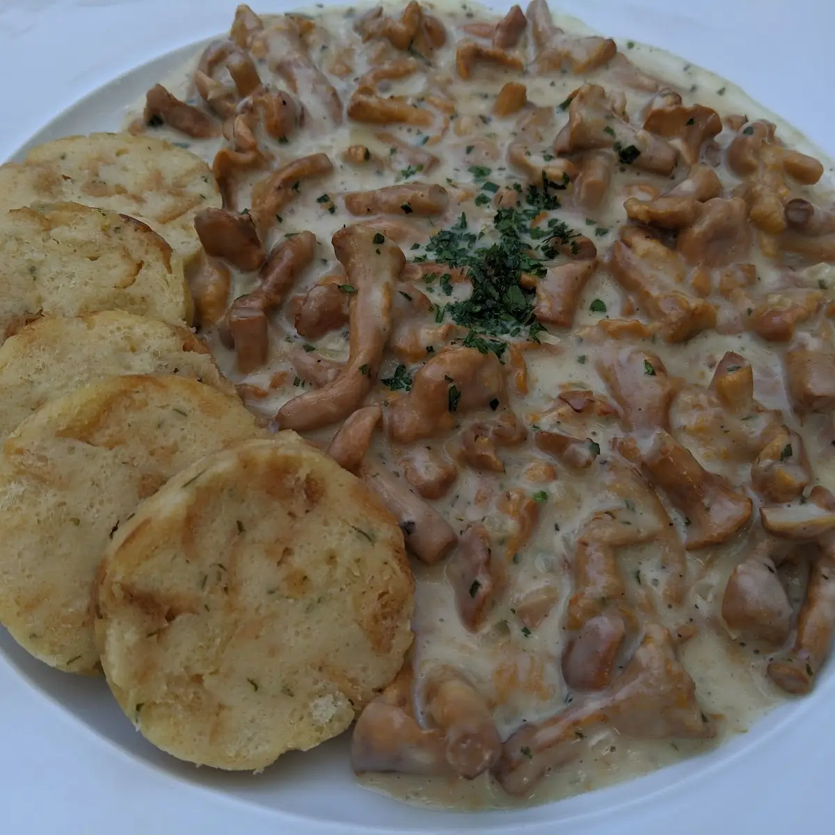 Pilzragout