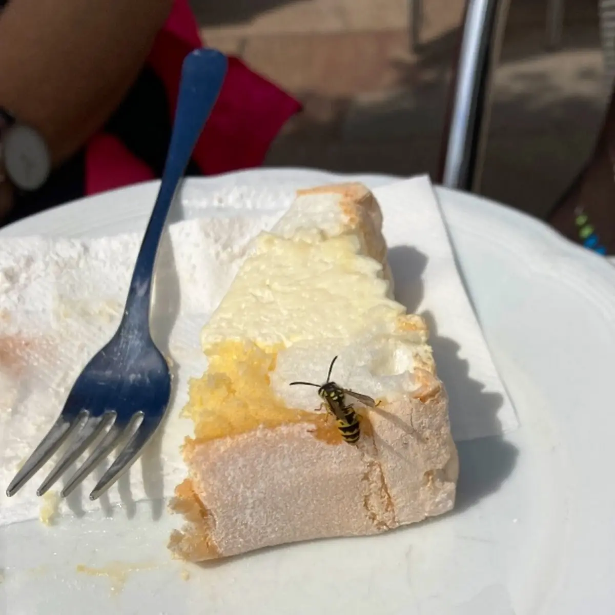 Kardinalschnitte