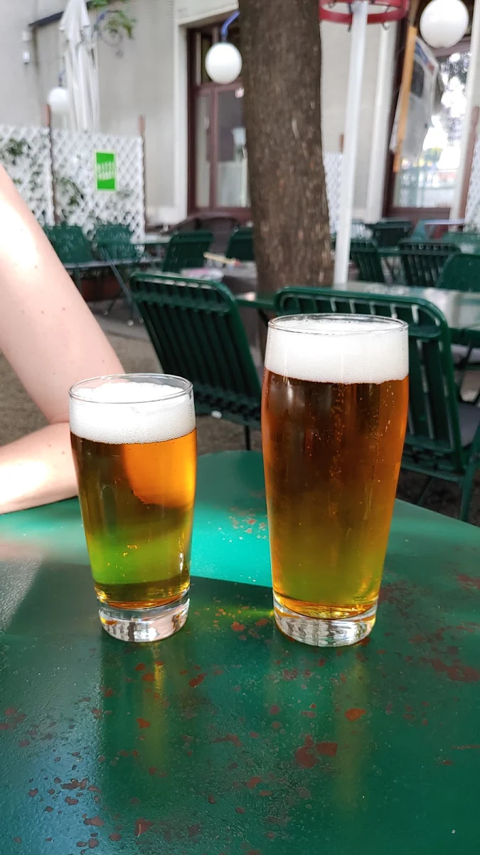 Bier