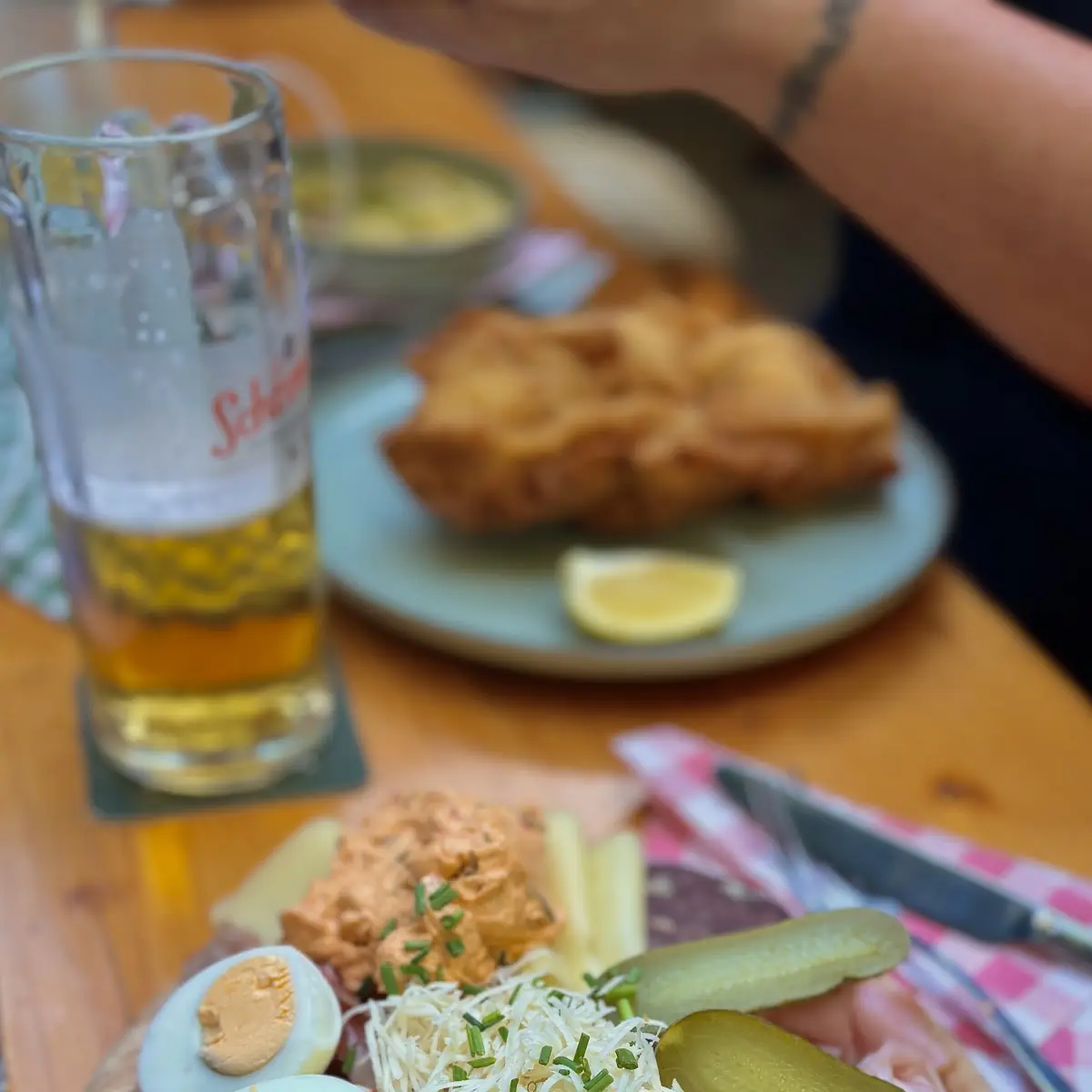 Grätzel-platte