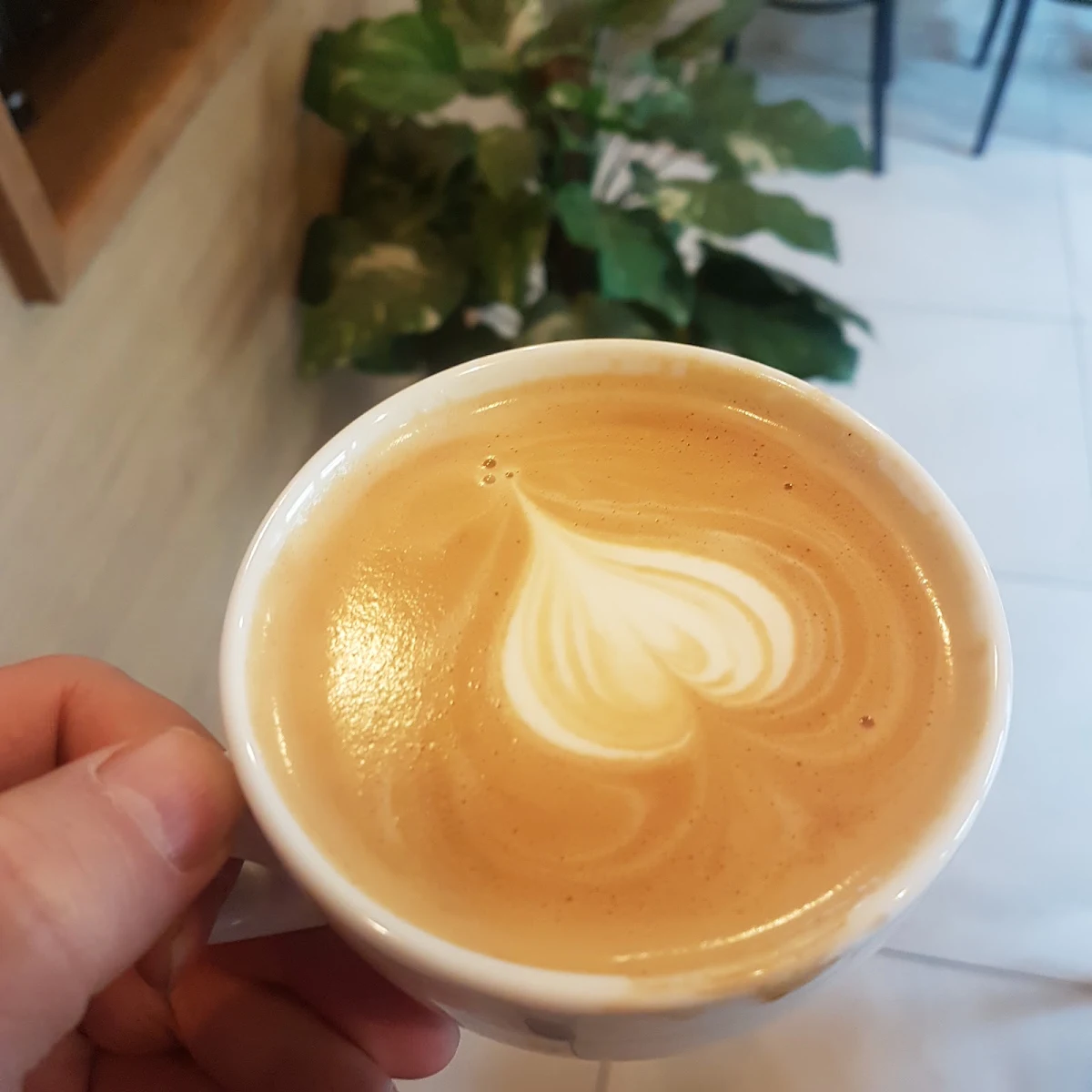 Bio Coffee Harmonisch Und Cremic